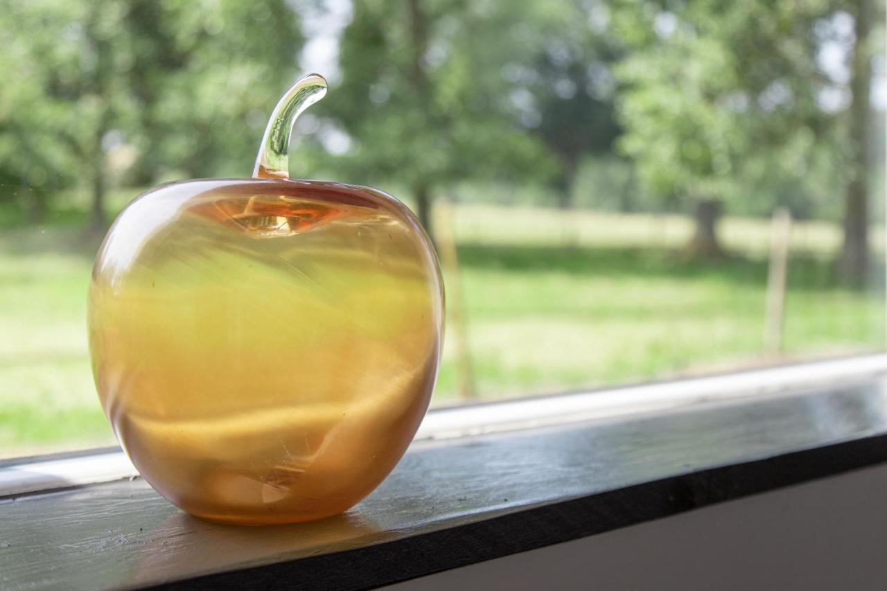 La Pomme Petillante Maisnieres Luaran gambar